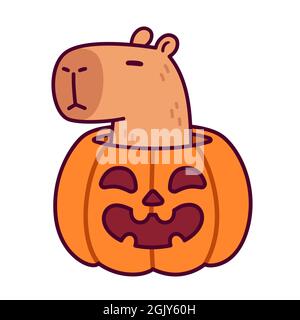 Trick or Treat. Joli dessin animé Capybara avec citrouille d'Halloween. Dessin de caractères kawaii, illustration vectorielle amusante. Illustration de Vecteur