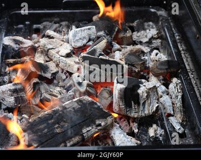 Combustion du charbon de bois dans un gril. Gros plan. Banque D'Images