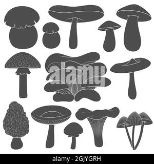 Ensemble d'images en noir et blanc avec champignons. Objets vectoriels isolés sur fond blanc. Illustration de Vecteur