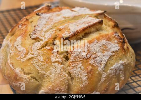 Pain Sourdough fait maison Banque D'Images