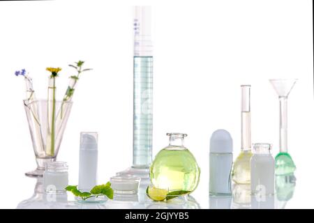 Image panoramique d'une plante médicinale fraîche de laboratoire et de fleurs prêtes pour l'expérience sur fond blanc Banque D'Images