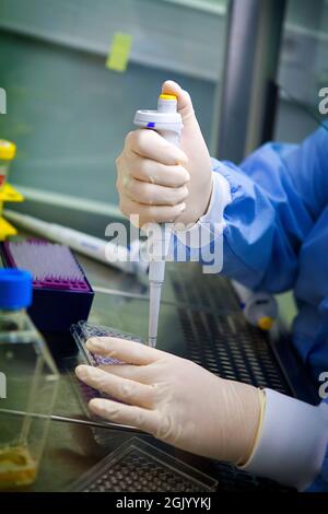 Laboratoire développant des vaccins thérapeutiques pour le traitement du cancer du poumon en stimulant le système immunitaire. Banque D'Images