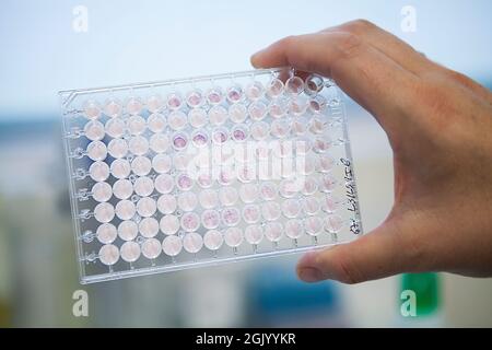 Laboratoire développant des vaccins thérapeutiques pour le traitement du cancer du poumon en stimulant le système immunitaire. Banque D'Images