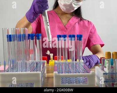 Femme injectant une substance dans un tube à l'aide d'une pipette multicanaux. Banque D'Images