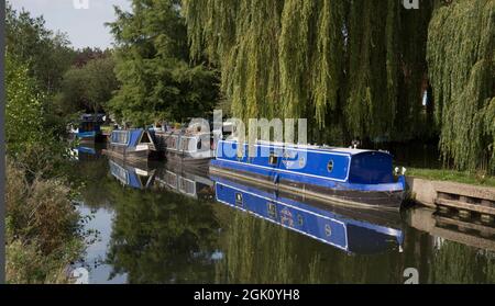 Des barques de la rivière Moorhen amarrées à Harlow, dans l'Essex Banque D'Images