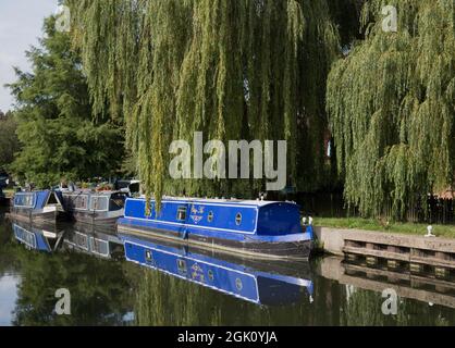 Des barques de la rivière Moorhen amarrées à Harlow, dans l'Essex Banque D'Images