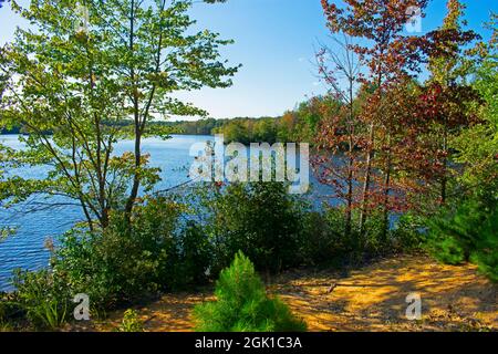 Le soleil brille sur le lac à la réserve Audubon Plainsboro lors d'une belle journée de fin d'été, les feuilles voisines commencent à changer de couleur -12 Banque D'Images