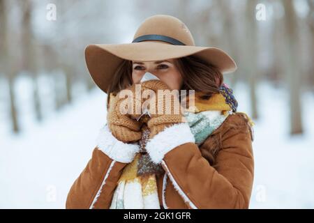 femme moderne d'âge moyen en chapeau brun et foulard avec moufles et serviette nez soufflant en peau de mouton en plein air dans le parc de la ville en hiver. Banque D'Images