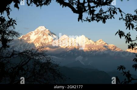 Vue en soirée sur le mont Dhaulagiri - Népal Banque D'Images