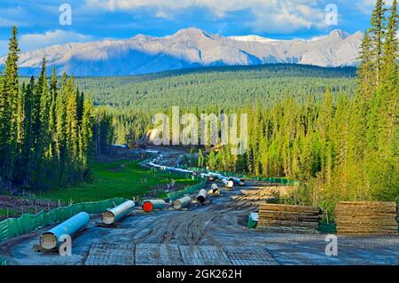 Construction du gazoduc Trans Mountain près de Hinton Alberta Canada Banque D'Images