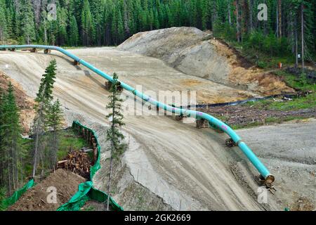 Construction du pipeline Trans Mountain à travers les montagnes rocheuses près de Hinton Alberta Canada Banque D'Images