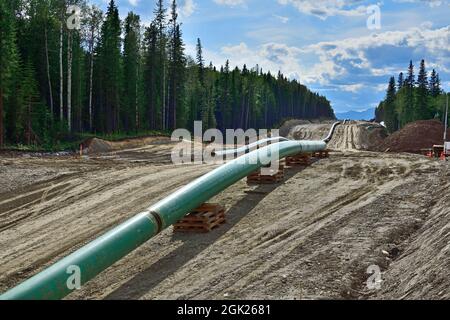 Construction du pipeline Trans Mountain à travers les montagnes rocheuses près de Hinton Alberta Canada Banque D'Images