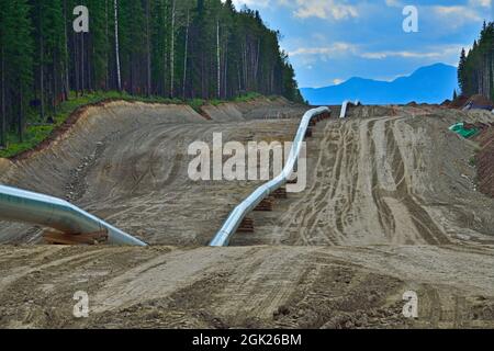 Construction du pipeline Trans Mountain à travers les montagnes rocheuses près de Hinton Alberta Canada Banque D'Images