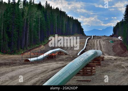 Construction du pipeline Trans Mountain à travers les montagnes rocheuses près de Hinton Alberta Canada Banque D'Images