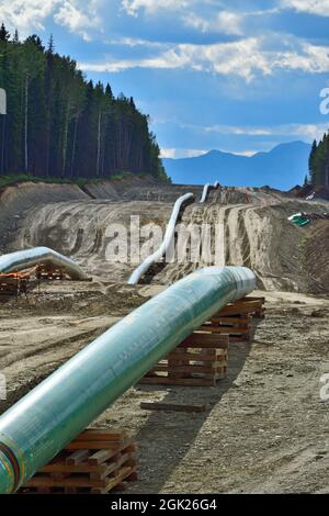 Image verticale de la construction du pipeline de Trans Mountain à travers les montagnes rocheuses près de Hinton Alberta Canada Banque D'Images