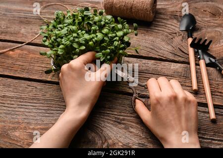 Femme coupant du micro-vert frais sur fond en bois Banque D'Images