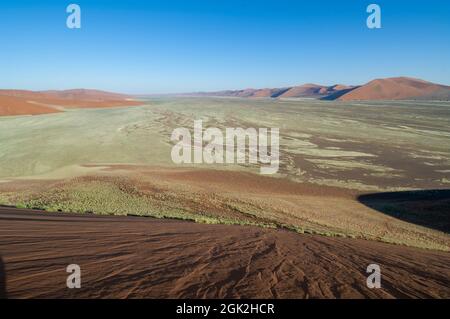 Les dunes de sable du désert du Namib à Sossusviei sont parmi les plus hautes du monde Banque D'Images