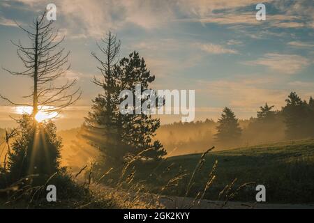 Vue tôt le matin sur les collines et les forêts dans la brume romantique et la brume chaude matin d'été sur Strmca, slovénie. Le soleil se pageant à travers la forêt. Banque D'Images