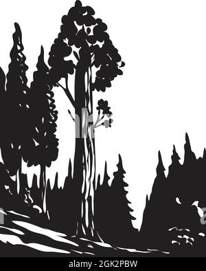 Affiche WPA art monochrome de General Grant Tree Trail dans le parc national de Kings Canyon situé dans la Sierra Nevada, Californie, États-Unis fait en travaux annonce de projet Illustration de Vecteur