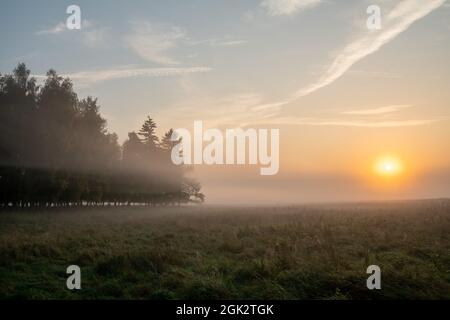 Magnifique lever de soleil d'automne brumeux au-dessus d'une prairie forestière Banque D'Images