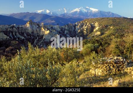 FRANCE. PYRÉNÉES-ORIENTALES (66) ILLE SUR TET ORGUES. CANIGOU MOUNTAIN EN ARRIÈRE-PLAN Banque D'Images