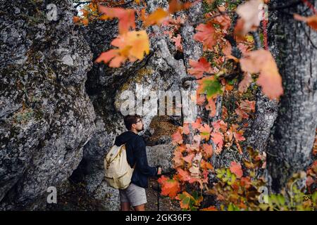 Homme solitaire marchant dans une forêt. Saison d'automne. Randonnée active en randonnée dans une nature colorée. Couleurs vives pour l'automne. Bon voyageur à l'extérieur Banque D'Images
