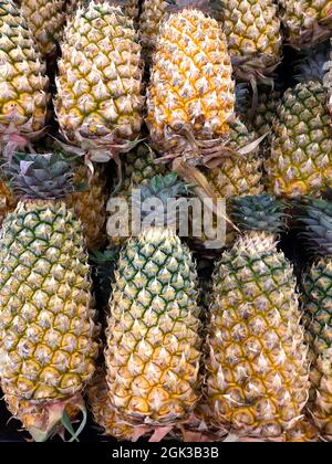 Ananas disposés en plateaux à vendre sur le marché, ananas envoyés du jardin aux consommateurs, images de fond. Banque D'Images