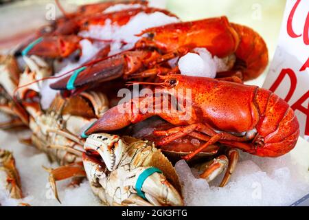 Homard frais vivant et crabe, fruits de mer sur glace à vendre dans les poissonniers Banque D'Images