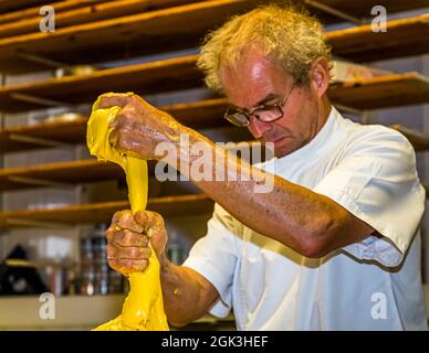 Panettone Prduction dans la Pasticceria Marnin à Locarno, Suisse.Circolo di Locarno, Suisse.Élastique, brillant et jaune.Arno Antongnini divise la pâte pour les différentes variétés de panettone Tradizionale, Nostrano et Pandananas.PASTICERIA Marnin à Locarno, Suisse Banque D'Images