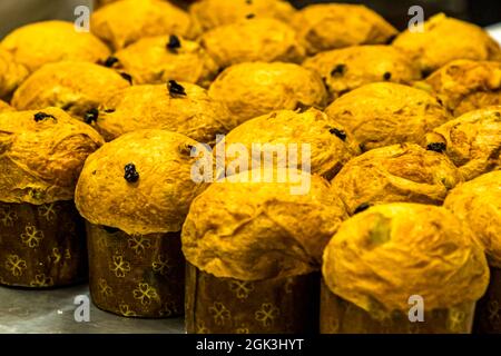 Panettone Prduction dans la Pasticceria Marnin à Locarno, Suisse.Circolo di Locarno, Suisse Banque D'Images