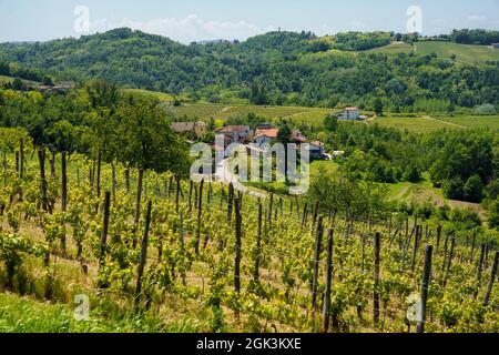 Paysage rural au printemps à Monferrato près de Rivalta Bormida, province d'Alessandria, Piémont, Italie, site du patrimoine mondial de l'UNESCO. Banque D'Images