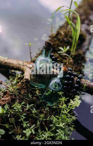 Les bouteilles en verre sont remplies d'ingrédients magiques, élixir. Forêt mystérieuse. Banque D'Images