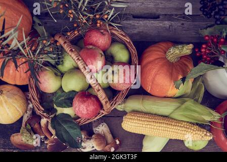 Récolte d'automne. Citrouilles et pommes brillantes, maïs, champignons et diverses baies sur la surface en bois Banque D'Images