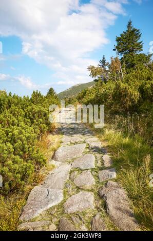 Sentier en pierre dans les montagnes Giant, Pologne. Banque D'Images