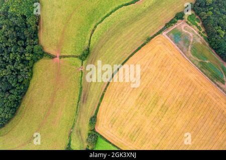 Photographie de drone - champs et prairies au-dessus de Torbay, Torquay, Devon, Angleterre, Europe Banque D'Images