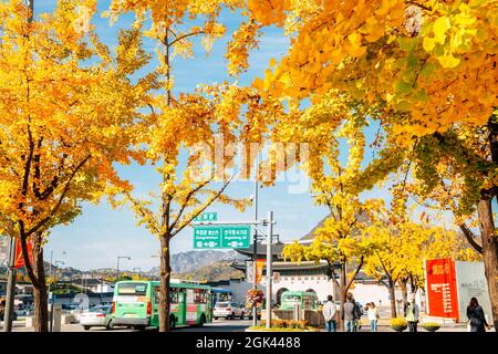 Séoul, Corée - 28 octobre 2020 : Palais Gyeongbokgung place Gwanghwamun avec arbres ginkgo d'automne Banque D'Images
