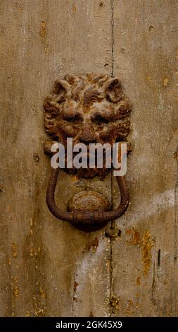 détail de porte avec lion. rouillé sur une ancienne porte. Banque D'Images