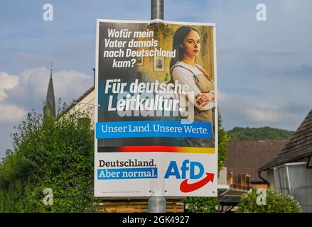 Wahlplakat, AfD, Bundestag 2021, Allemagne Banque D'Images