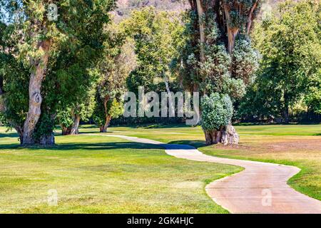 Piste de voiturette de golf serpentant à travers les arbres sur un parcours de golf Banque D'Images
