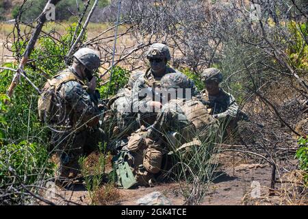 Les Marines des États-Unis avec le 1er Bataillon, 23e Régiment de Marine, 4e Division Marine, établissent la communication radio pendant la compétition de l'escouade de fusil de division sur le camp de base du corps de Marine Pendleton, Californie, 1er août 2021. Le concours a été conçu pour tester les compétences des Marines et déterminer la meilleure équipe au sein de la 4e Division, ainsi que pour élever le niveau d’excellence tactique dans l’ensemble de la division. Depuis 2001, les unités de la Réserve des Forces maritimes emploient continuellement des marins et des marins de la Réserve. Banque D'Images