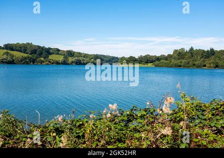 Ardingly Reservoir qui fait partie de South East Water à Sussex , Angleterre , Royaume-Uni Photographie prise par Simon Dack Banque D'Images