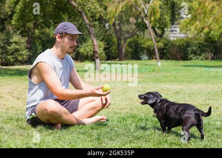 Jeune homme assis sur l'herbe montrant le ballon de tennis au petit chien noir. Un homme jouant avec un animal de compagnie au parc par beau temps Banque D'Images