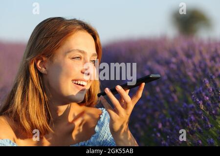 Bonne femme utilisant la reconnaissance vocale sur un smartphone dans un champ de lavande Banque D'Images