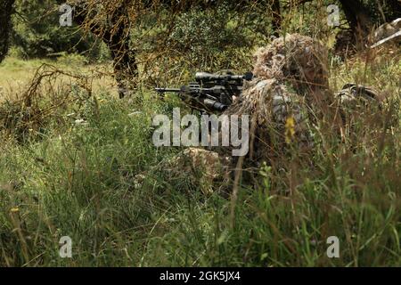 Le sniper italien est en bas de gamme dans la zone d'entraînement de Hohenfels, en Allemagne, le 08 août 2021. Le concours européen de 2021 du meilleur Sniper est un concours de compétence organisé par le 7e Commandement de l’instruction de l’Armée de terre des États-Unis, dirigé par l’Europe et l’Afrique, qui comprend 8 alliés MATO et nations partenaires participant à la 7e zone d’entraînement Hohenfels de l’ATC, du 8 au 14 août. Le concours européen du meilleur Sniper est conçu pour améliorer le professionnalisme et l'esprit de corps. Banque D'Images