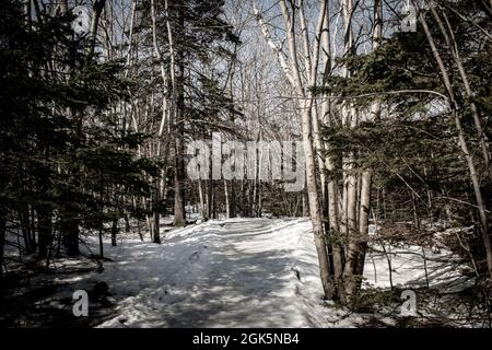 randonnée pédestre sur le sentier transcanadien en hiver sur la section du parc de shubie le long du lac charles Banque D'Images