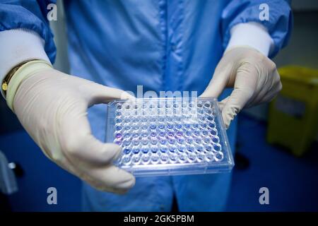 Laboratoire développant des vaccins thérapeutiques pour le traitement du cancer du poumon en stimulant le système immunitaire. Banque D'Images