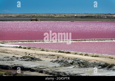 Paysage abstrait de salines roses à Salin de Giraud, en Camargue, en Provence, au sud de la France Banque D'Images