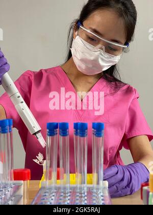 Femme injectant une substance dans un tube à l'aide d'une pipette multicanaux. Banque D'Images