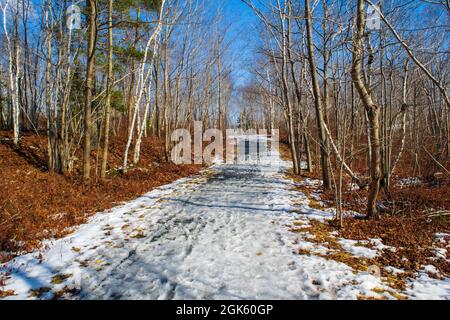 randonnée pédestre sur le sentier transcanadien en hiver sur la section du parc de shubie le long du lac charles Banque D'Images