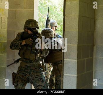 Marines, avec Alpha Company, Marine Barracks Washington, mène des opérations militaires dans l'entraînement en terrain urbain à la base du corps des Marines Quantico, Virginie, le 11 juillet 2021. Les Marines ont appris, pratiqué et mis en œuvre plusieurs procédures différentes : l'agression contre un bâtiment, les salles de défrichage et les cages d'escalier, et différentes techniques pour naviguer dans les couloirs et les quartiers étroits. Ils ont terminé l'exercice avec des munitions de simulation et ont participé à des engagements d'équipe notionnelle contre d'équipe pour mieux simuler un environnement urbain vivant. Banque D'Images